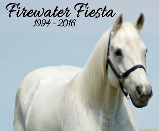 In memoriam of Firewater Fiesta